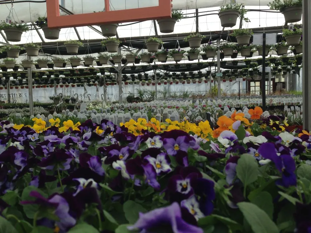 Custom residential landscaping for homes across Parsippany, NJ - Cerbo's Parsippany Greenhouse