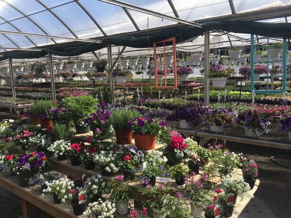 Professional yard maintenance experts serving Parsippany, NJ - Cerbo's Parsippany Greenhouse