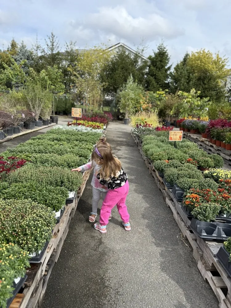 Top-rated outdoor landscaping for year-round maintenance across Parsippany, NJ - Cerbo's Parsippany Greenhouse