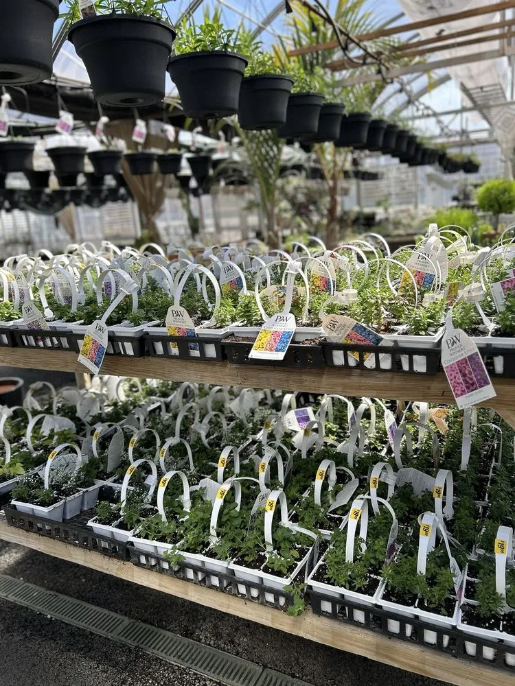 Custom outdoor landscaping for beautiful yards in Parsippany, NJ by Cerbo's Parsippany Greenhouse