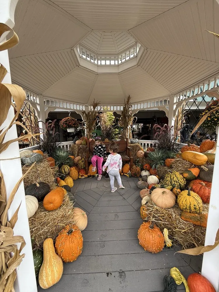 Local yard cleanup service in Parsippany, NJ by Cerbo's Parsippany Greenhouse