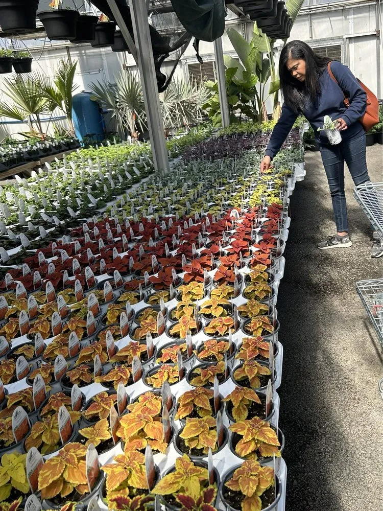 Top-rated outdoor landscaping in Parsippany, NJ - Cerbo's Parsippany Greenhouse