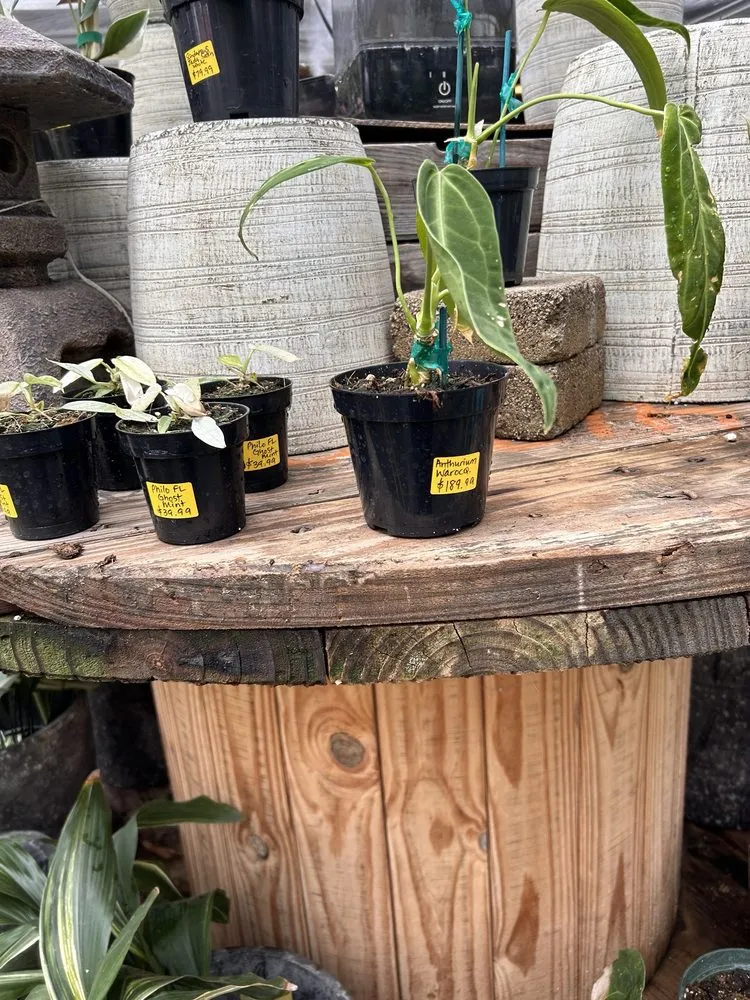 Professional residential landscaping in Parsippany, NJ - Cerbo's Parsippany Greenhouse