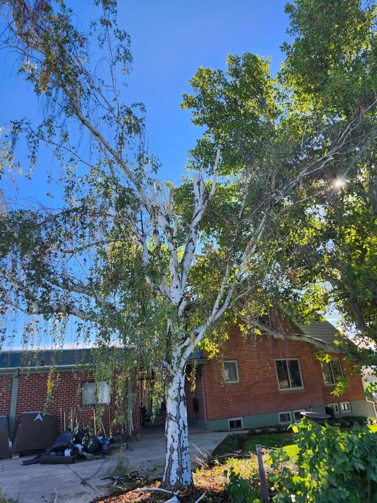 Local landscaping services for residential properties in Yakima, WA by Cercas Y Yardas Ignacio