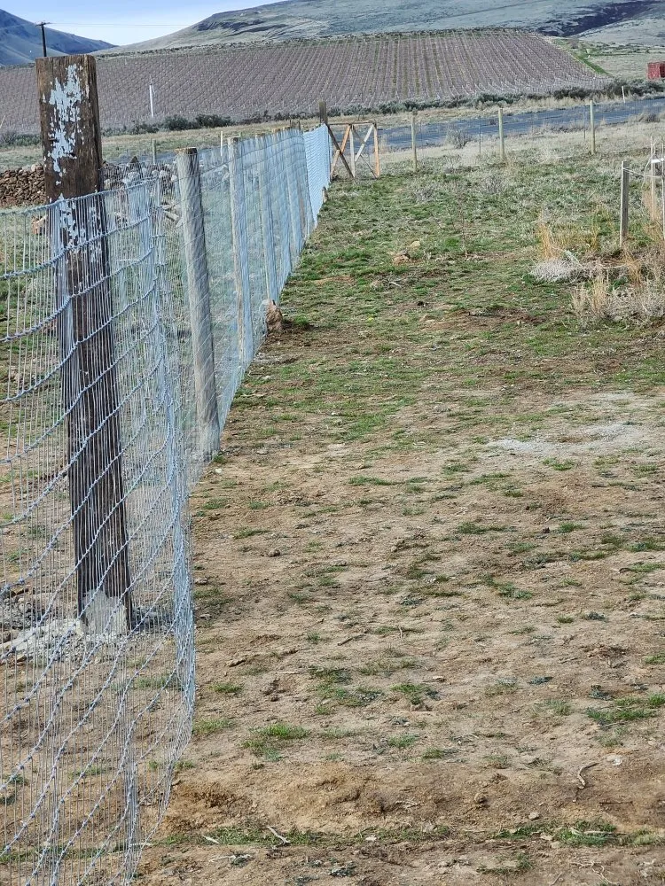 Custom yard cleanup service experts serving Yakima, WA - Cercas Y Yardas Ignacio