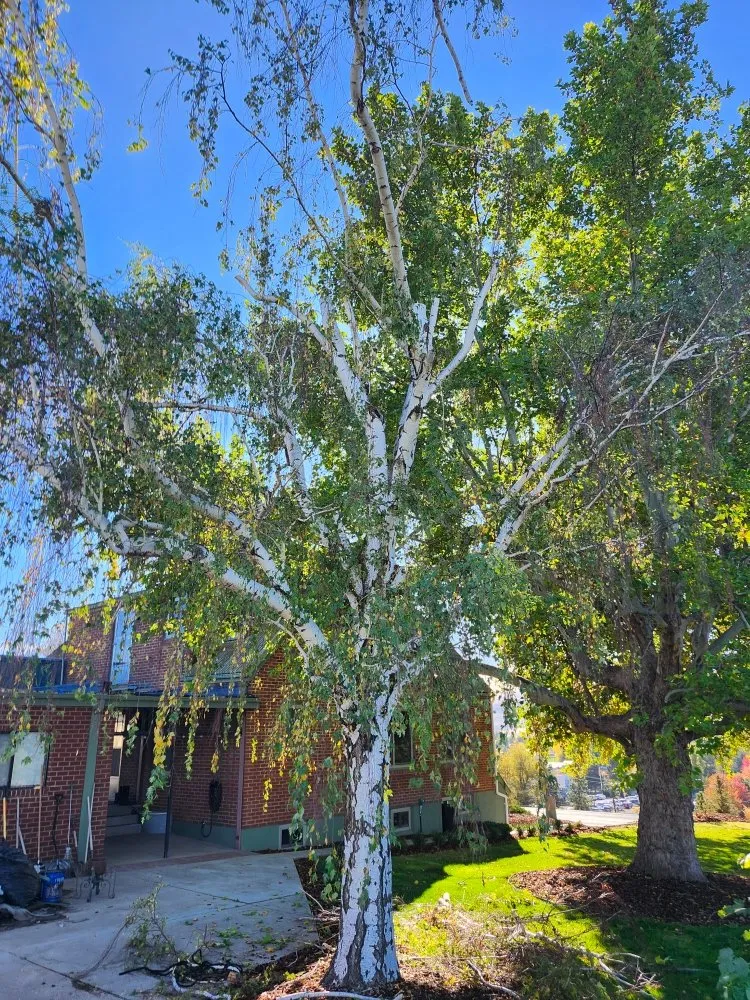 Professional landscaping services experts serving Yakima, WA - Cercas Y Yardas Ignacio