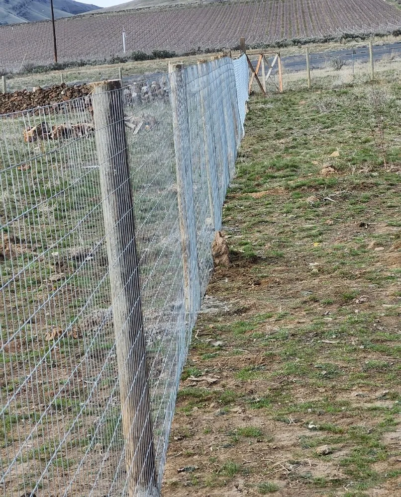 Affordable landscape installation with custom design in Yakima, WA by Cercas Y Yardas Ignacio