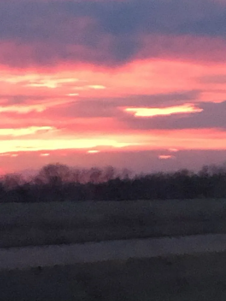 Affordable lawn care service in Lincoln, NE - Cerebral Landscaping