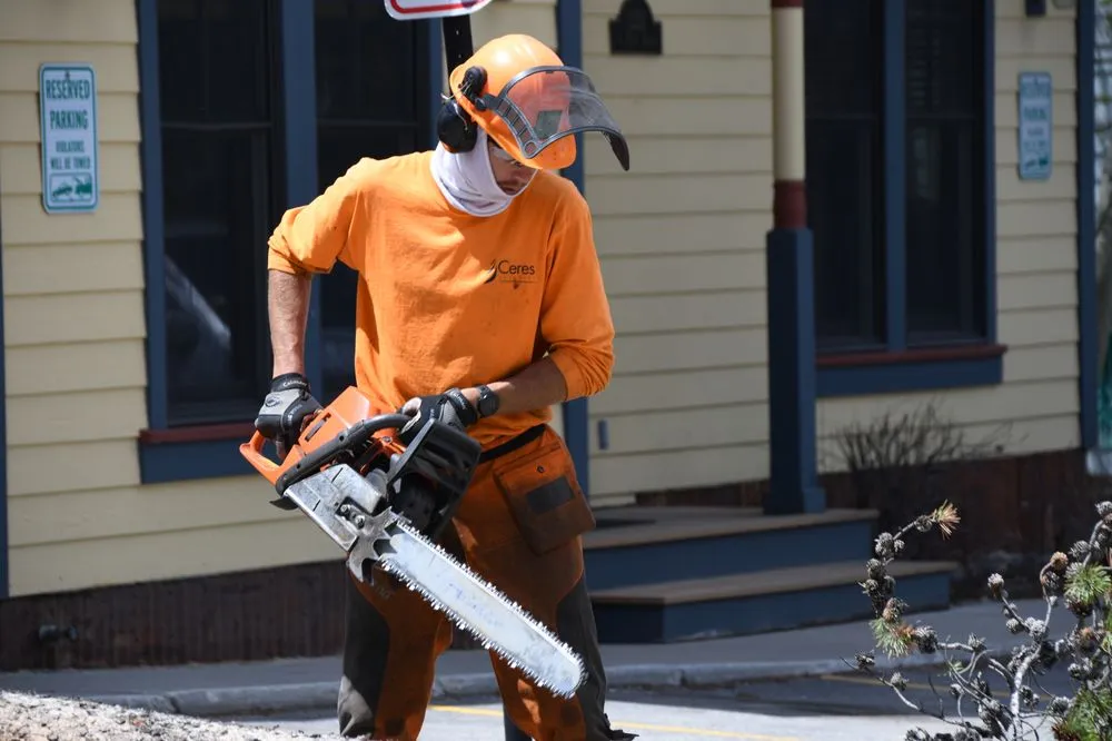 Reliable landscape design for outdoor upgrades in Frisco, CO by Ceres Landcare