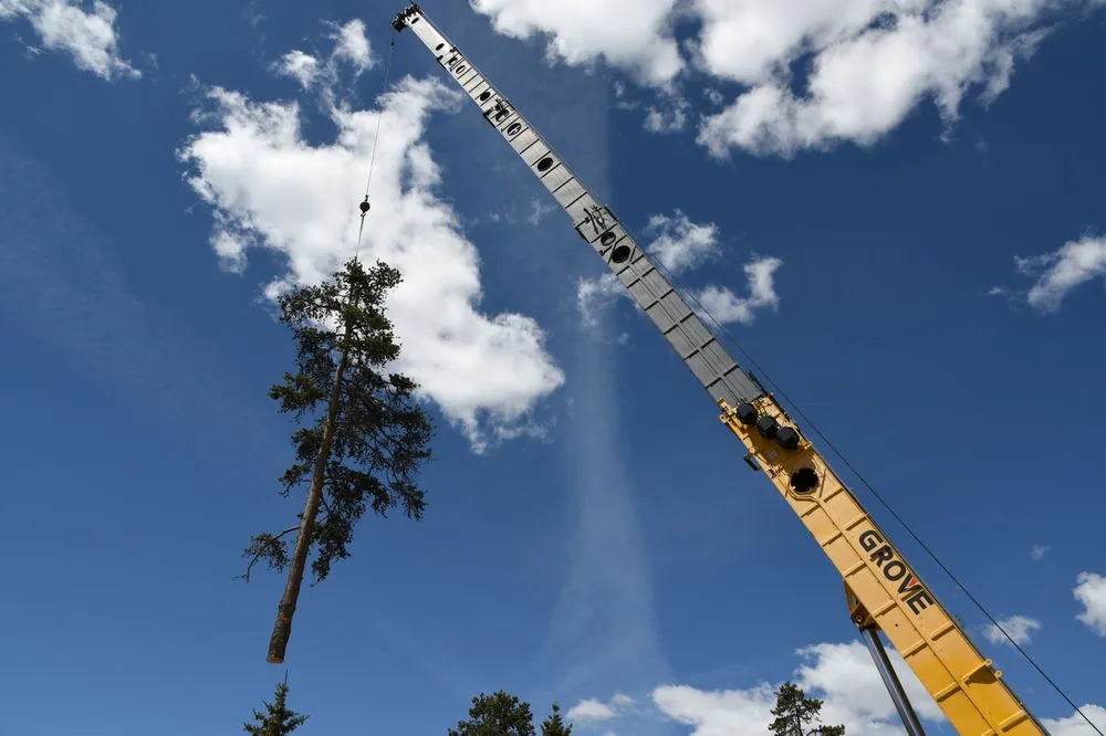 Professional outdoor landscaping in Frisco, CO by Ceres Landcare