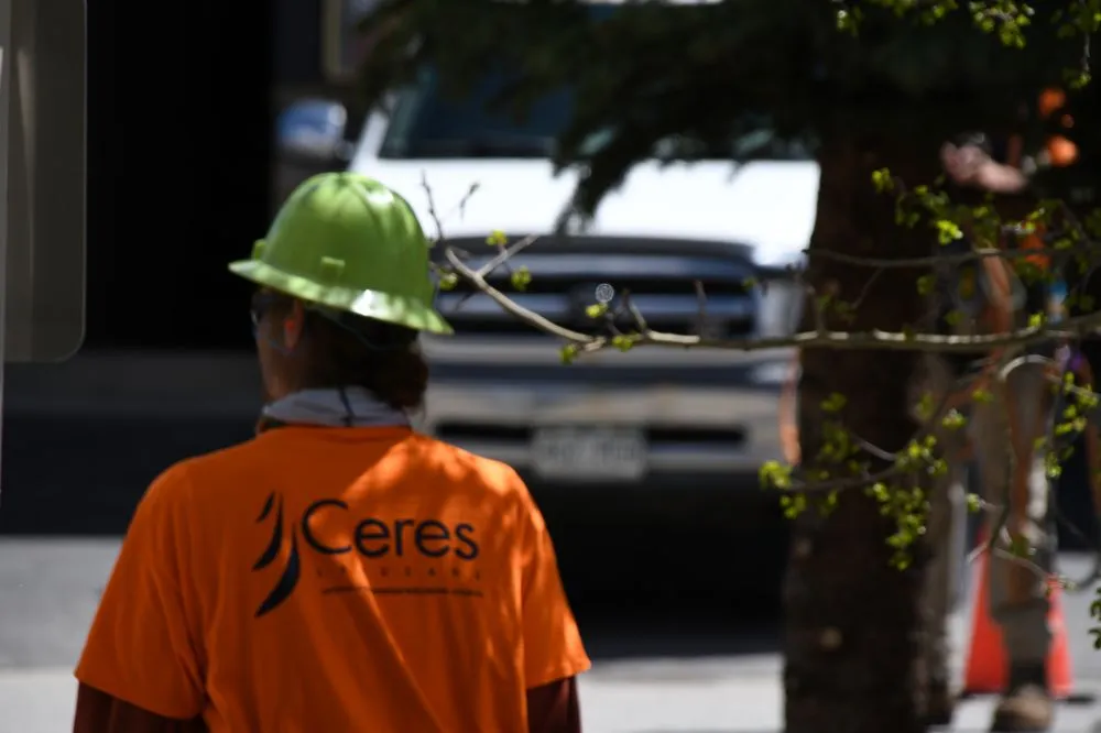 Expert landscape design for year-round maintenance in Frisco, CO by Ceres Landcare