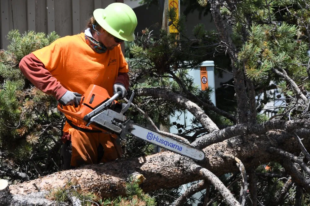 Trusted yard cleanup service experts serving Frisco, CO - Ceres Landcare