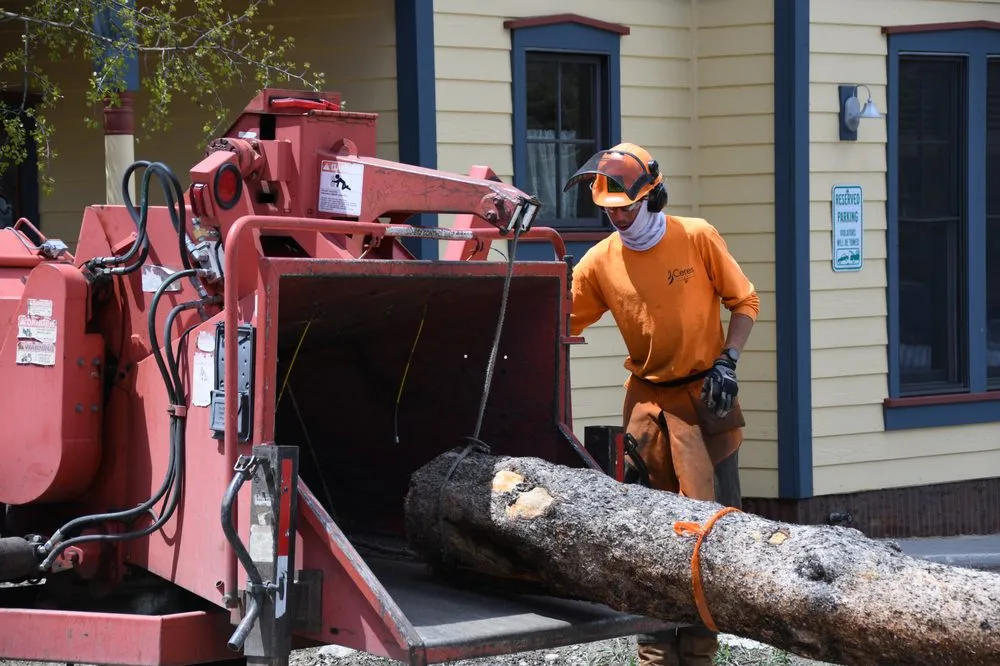 Expert garden landscaping for beautiful yards in Frisco, CO by Ceres Landcare