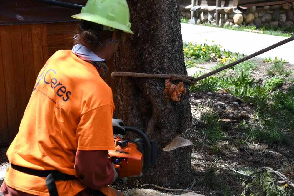 Affordable residential landscaping with custom design in Frisco, CO by Ceres Landcare