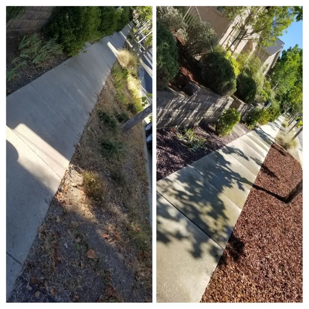 Reliable landscaping services in Chico, CA by Cernas Lawn Care