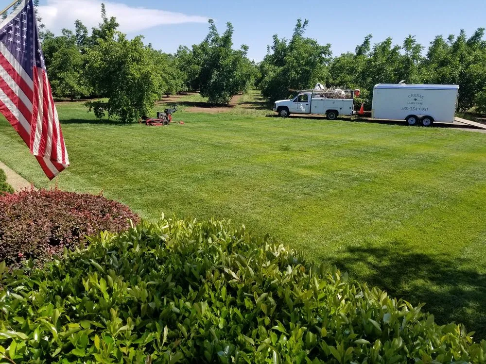 Professional yard maintenance near you across Chico, CA - Cernas Lawn Care