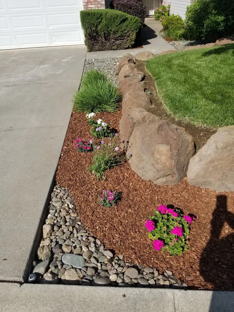 Local yard cleanup service in Chico, CA - Cernas Lawn Care