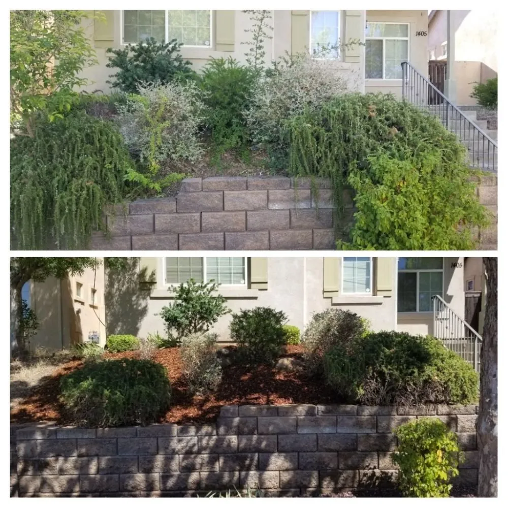 Expert lawn care service for beautiful yards in Chico, CA by Cernas Lawn Care