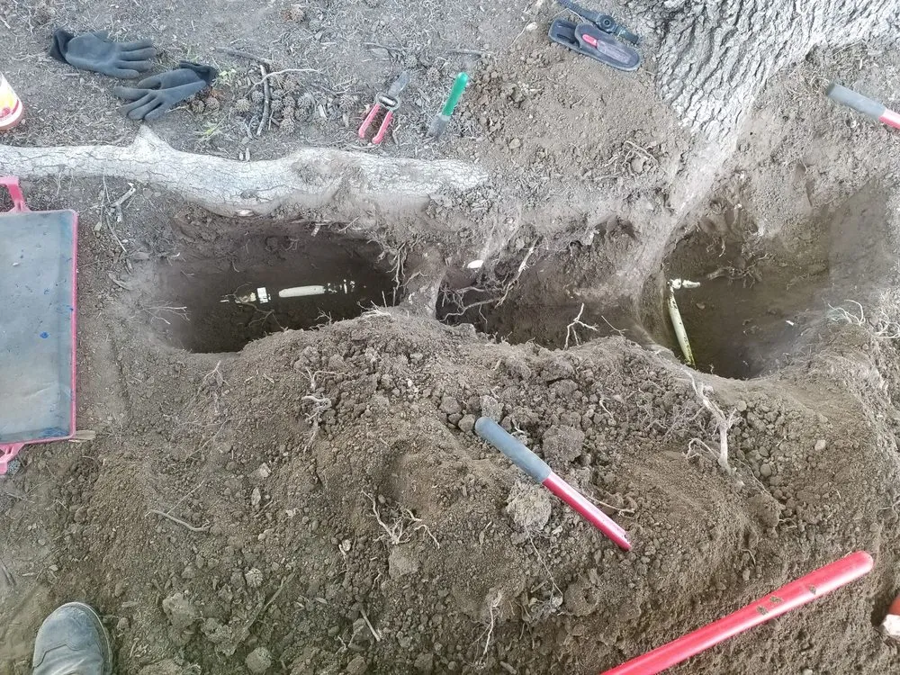 Top-rated outdoor landscaping experts serving Chico, CA - Cernas Lawn Care