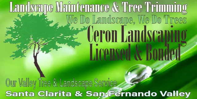 Local landscape installation for residential properties across Newhall, CA - Ceron Landscaping