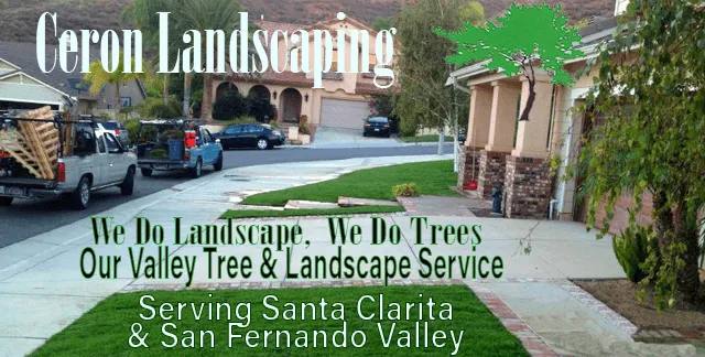 Local lawn care service experts serving Newhall, CA - Ceron Landscaping