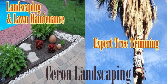 Professional landscaping services for homes in Newhall, CA by Ceron Landscaping
