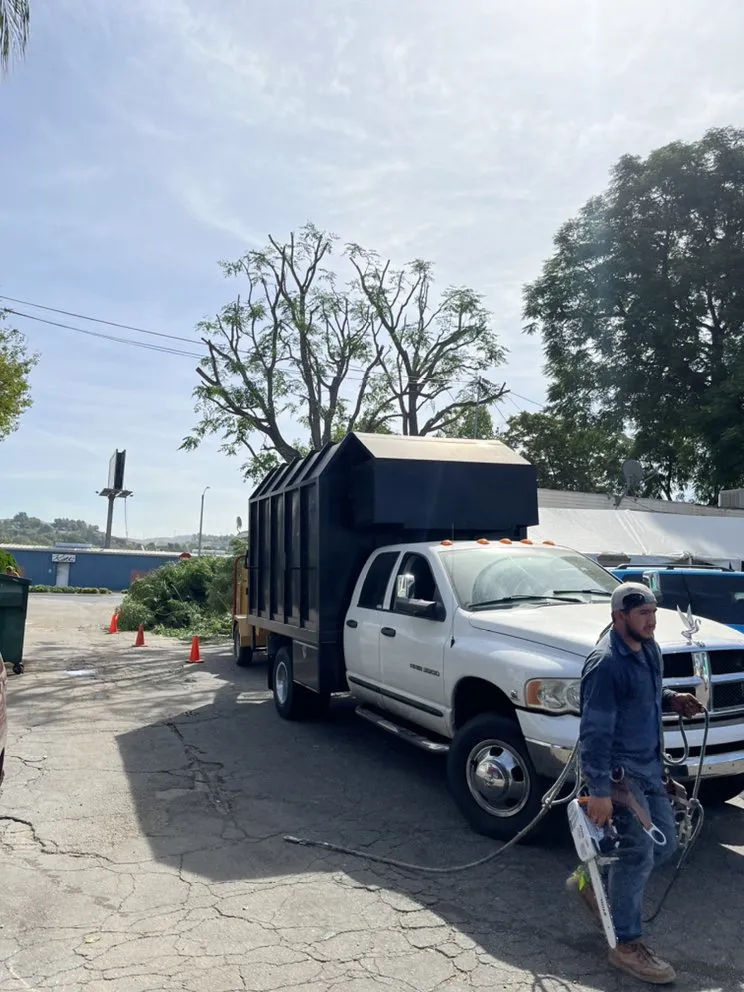 Local yard maintenance in Newhall, CA by Ceron Landscaping