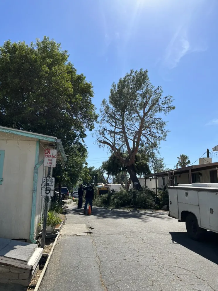 Local outdoor landscaping in Newhall, CA - Ceron Landscaping