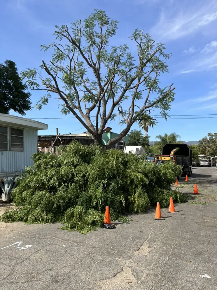 Affordable landscape design in Newhall, CA - Ceron Landscaping