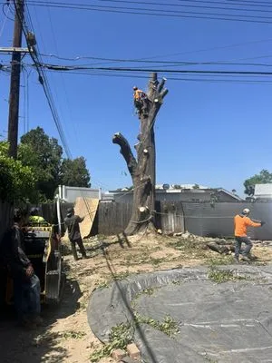 Ceron Landscaping Logo