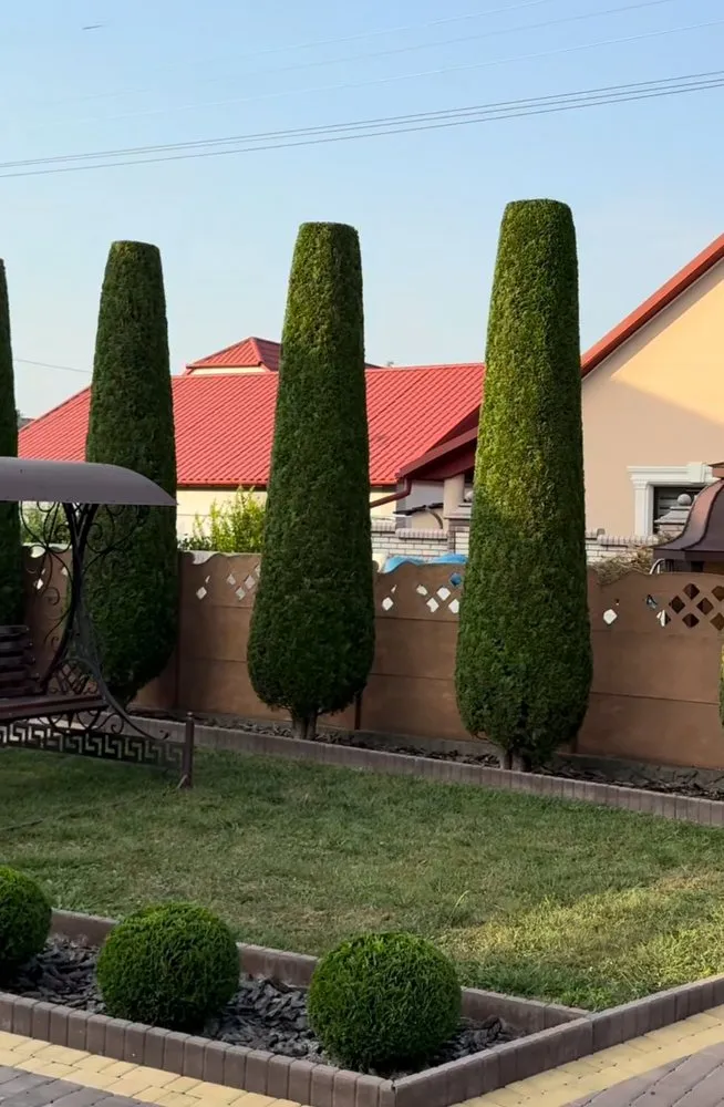 Expert yard cleanup service in Detroit, MI by Cerralvo Service