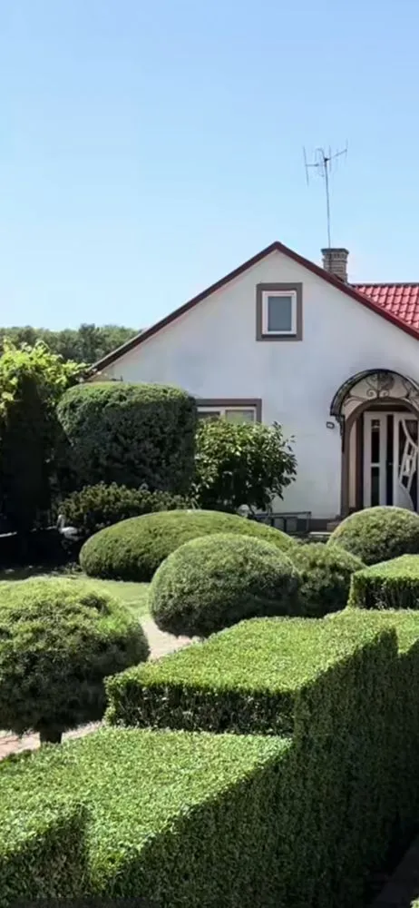 Professional yard maintenance in Detroit, MI - Cerralvo Service