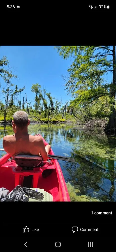 Trusted residential landscaping experts serving Panama City, FL - Certalich General Maintenance Handyman