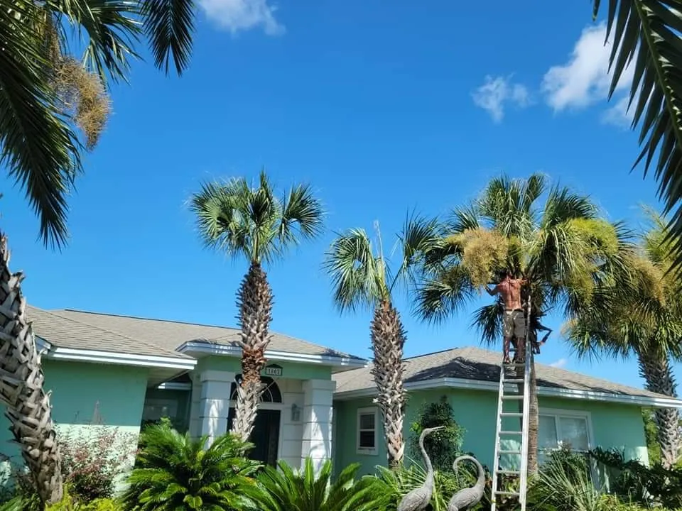 Professional lawn care service in Panama City, FL by Certalich General Maintenance Handyman