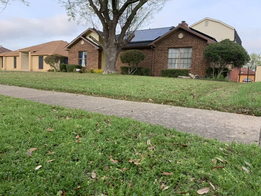 Professional yard maintenance for beautiful yards across Dallas, TX - Certified Bandit Lawn Care