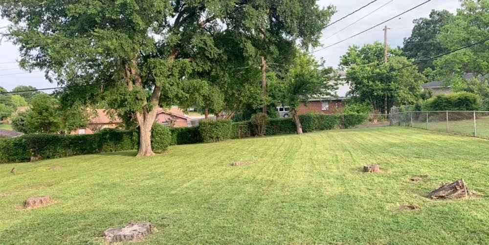 Reliable landscape design experts serving Dallas, TX - Certified Bandit Lawn Care