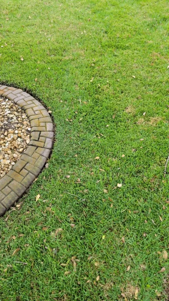 Professional residential landscaping in Ocala, FL by Certified Cuts