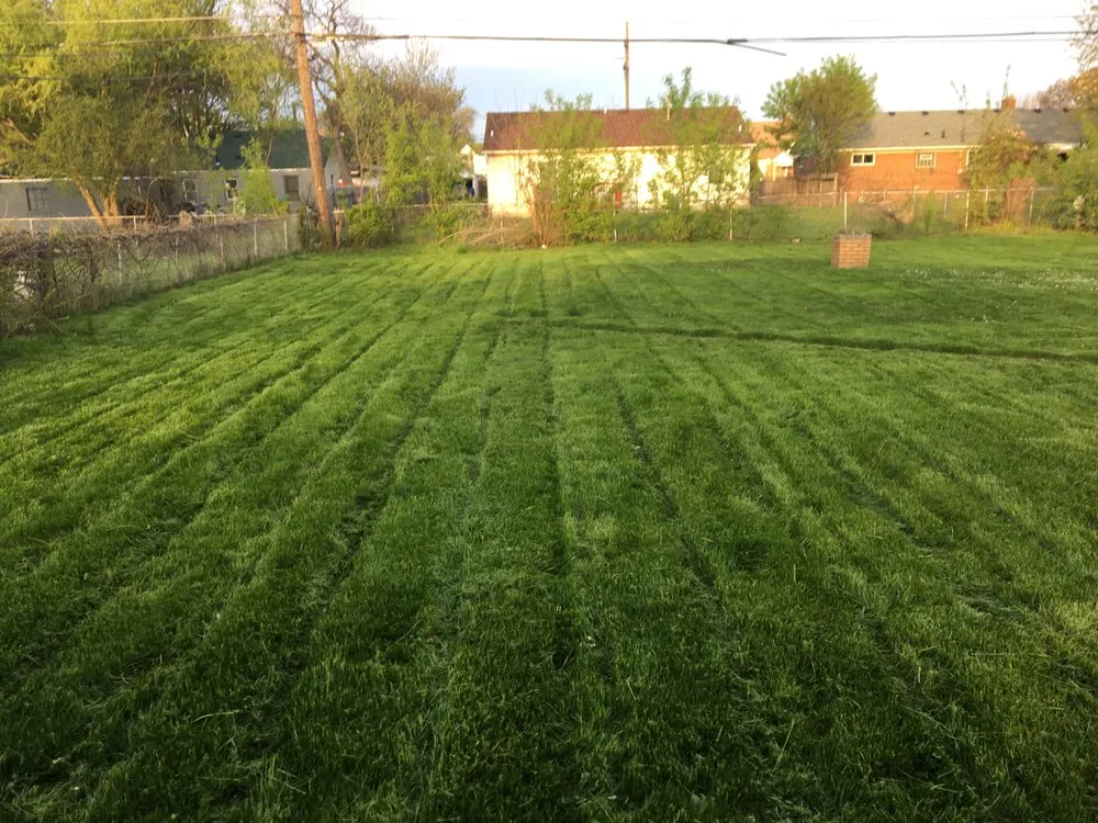 Custom lawn mowing service in Warren, MI by Certified Cuts