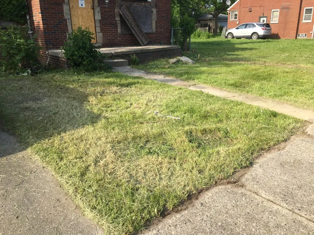 Expert landscape design near you in Warren, MI by Certified Cuts