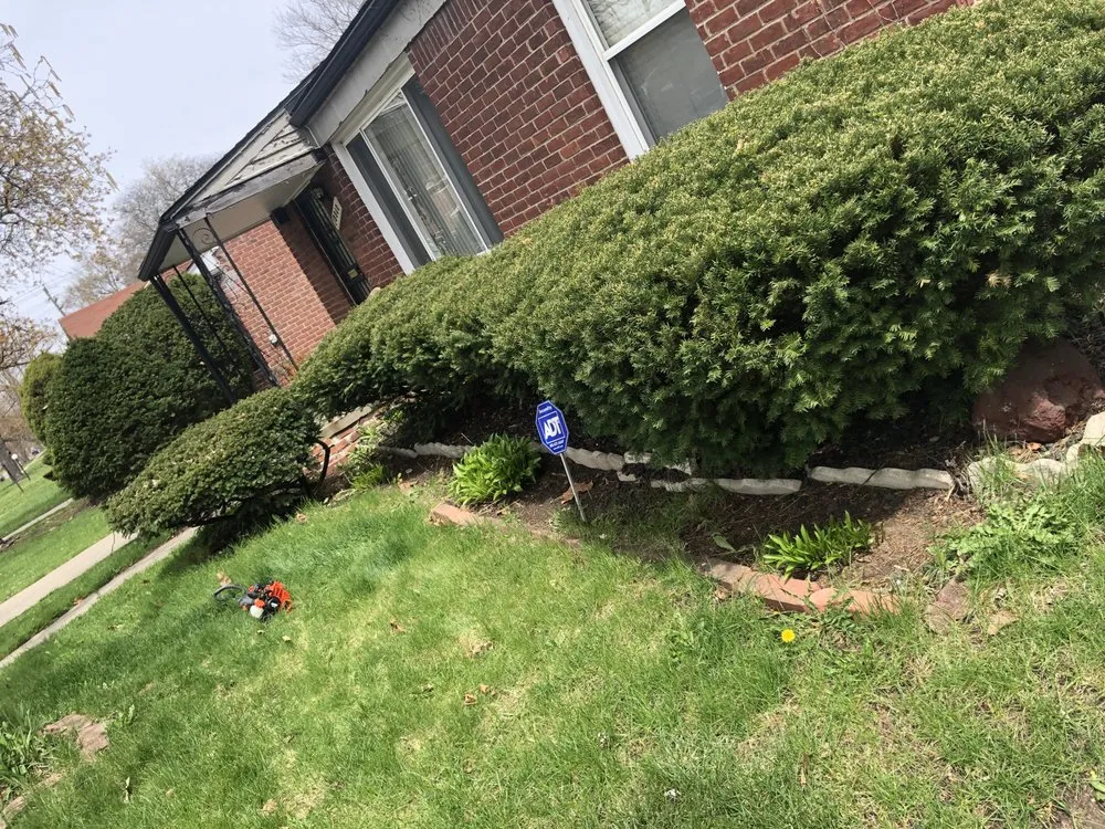 Local lawn care service experts serving Warren, MI - Certified Cuts