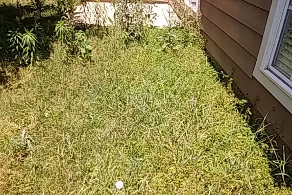 Local garden landscaping experts serving Green Cove Springs, FL - Certified Lawn Care