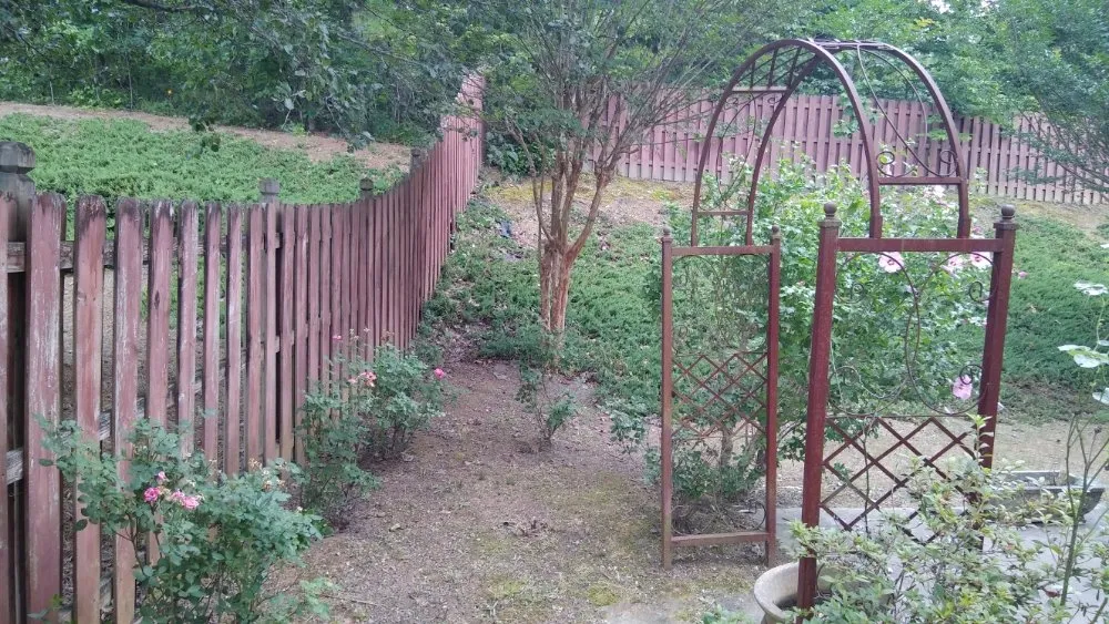 Custom yard maintenance in Green Cove Springs, FL - Certified Lawn Care