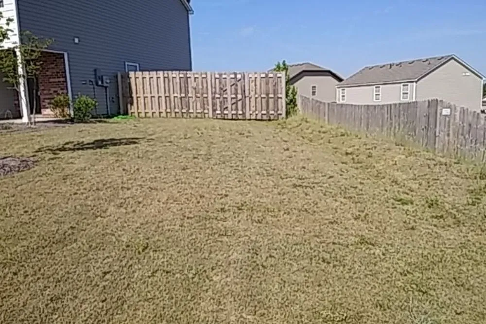 Professional landscaping services experts serving Green Cove Springs, FL - Certified Lawn Care