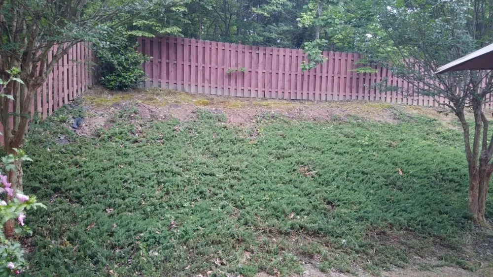 Top-rated outdoor landscaping in Green Cove Springs, FL by Certified Lawn Care