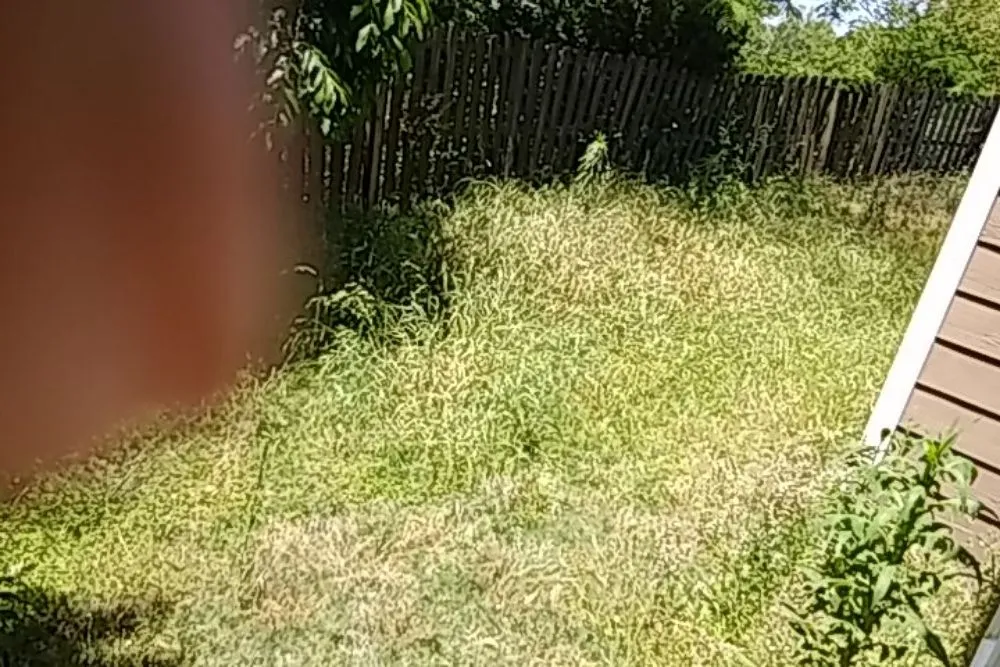 Trusted landscape design for year-round maintenance across Green Cove Springs, FL - Certified Lawn Care