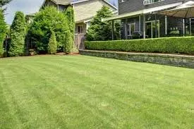 Top-rated lawn care service experts serving Modesto, CA - Certified Lawn Pros