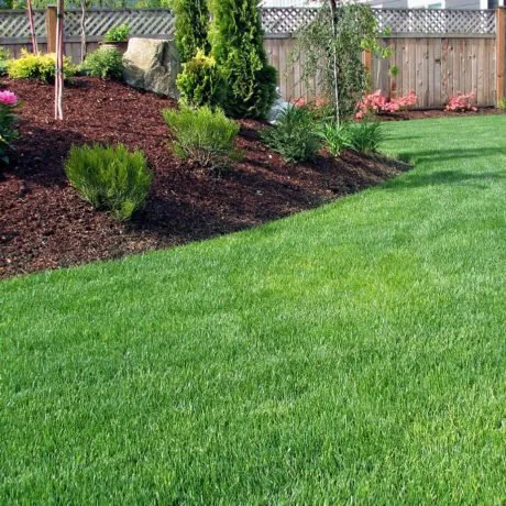 Expert yard maintenance for homes across Modesto, CA - Certified Lawn Pros