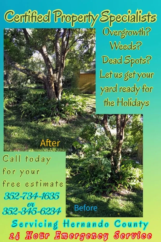 Custom outdoor landscaping for residential properties in Spring Hill, FL by Certified Property Specialists