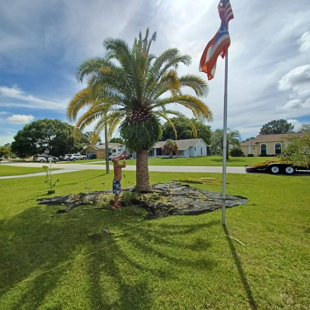 Expert yard cleanup service for beautiful yards in Spring Hill, FL by Certified Property Specialists