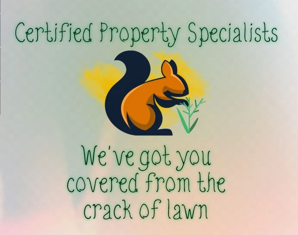 Affordable lawn care service in Spring Hill, FL - Certified Property Specialists